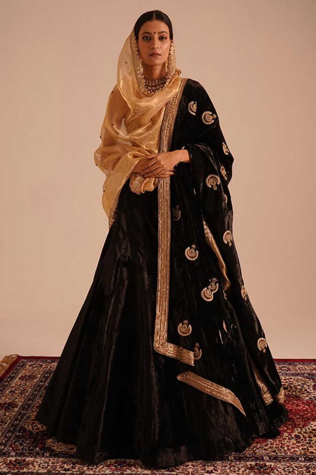 Chandbali Black Doshala Handcrafted Saree