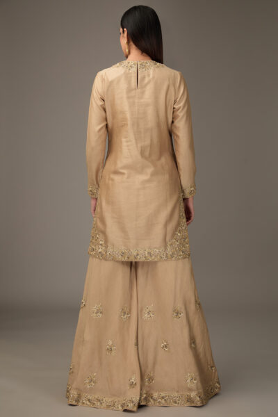 Women's-Designer-Sharara-in-Defence-Colony